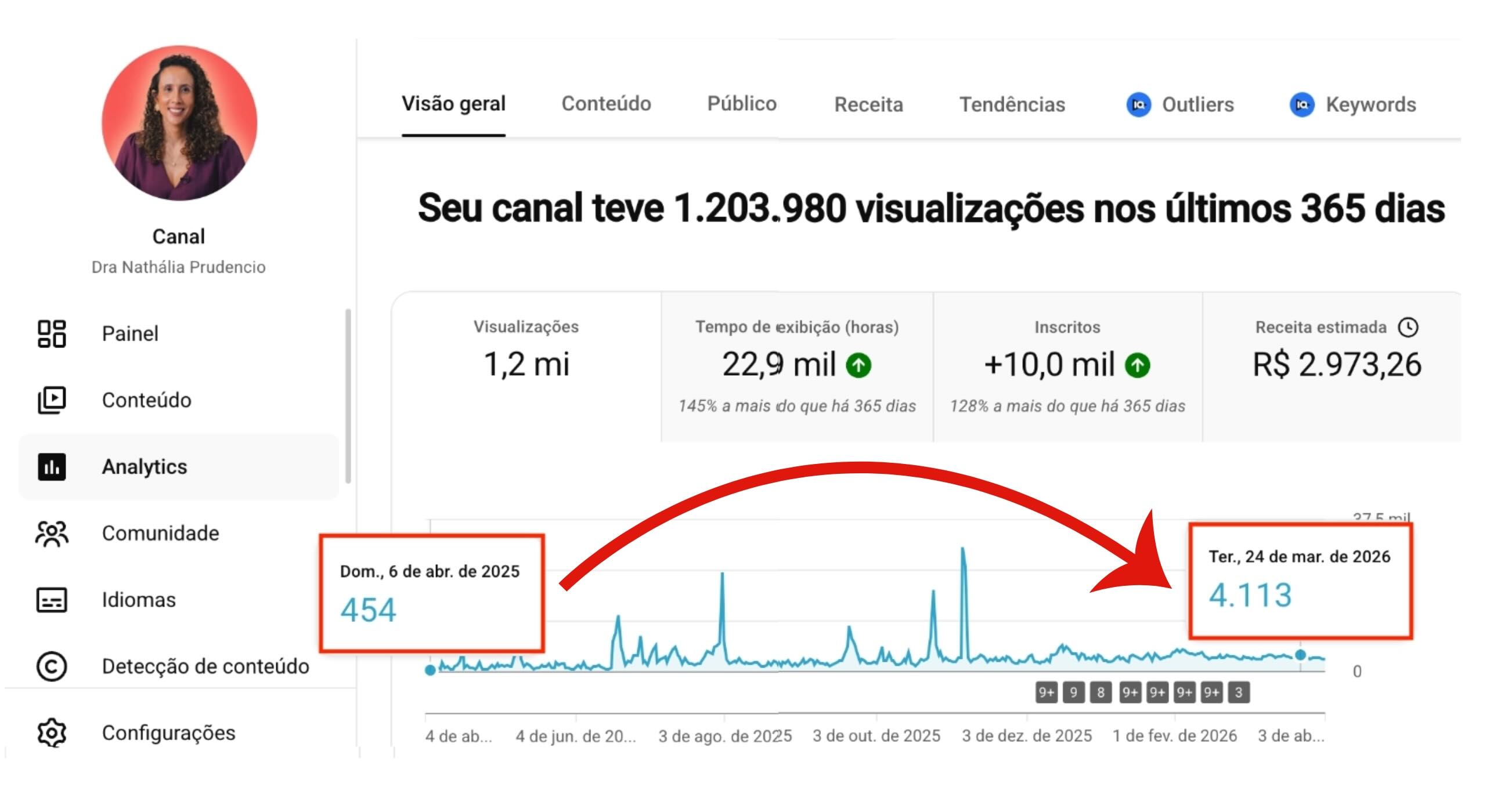 Analytics do canal da Nathália em 12 meses